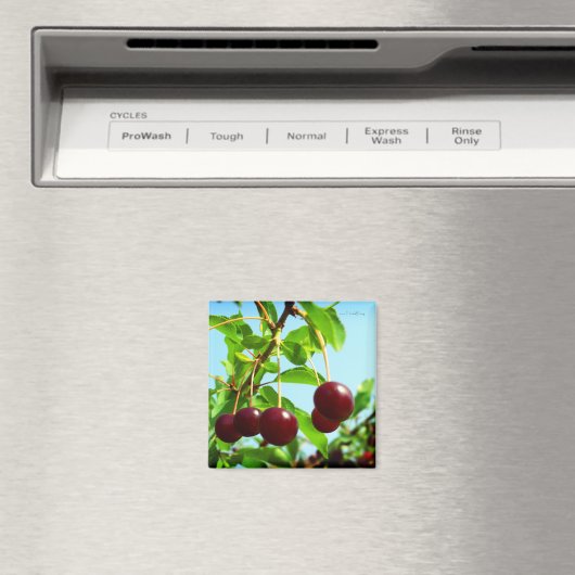 Joys of summer - rode kersen magneet (Insitu (Vaatwasser))