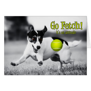 JRT Cute and Funny Go Fetch Thleank