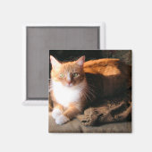 JT de Kat Magneet (Voorkant / Achterkant)