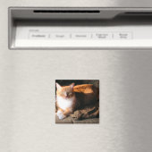 JT de Kat Magneet (Insitu (Vaatwasser))
