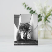 JTG Art Briefkaart "Tree in Kaapstad" (Staand voorkant)