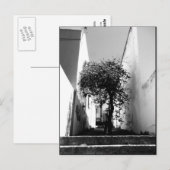 JTG Art Briefkaart "Tree in Kaapstad" (Voorkant / Achterkant)