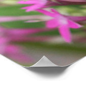 Juan 8:31, 32 con Mariposa Gulf Fritillary Poster (Hoek)