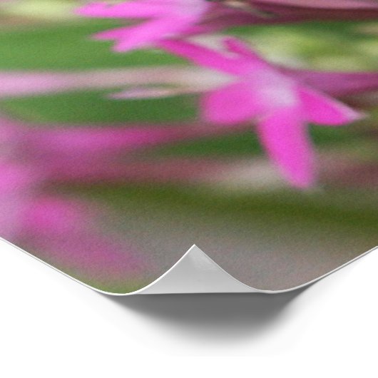 Juan 8:31, 32 con Mariposa Gulf Fritillary Poster (Hoek)