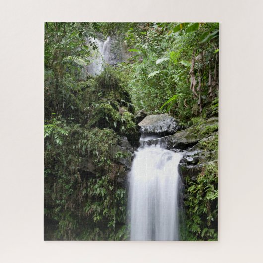 Juan Diego-waterval Legpuzzel (Verticaal)
