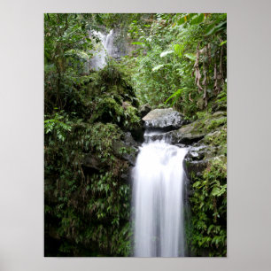 Juan Diego-waterval Poster
