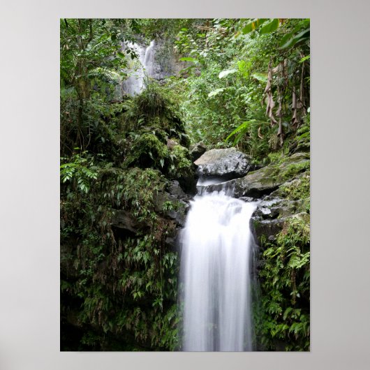 Juan Diego-waterval Poster (Voorkant)