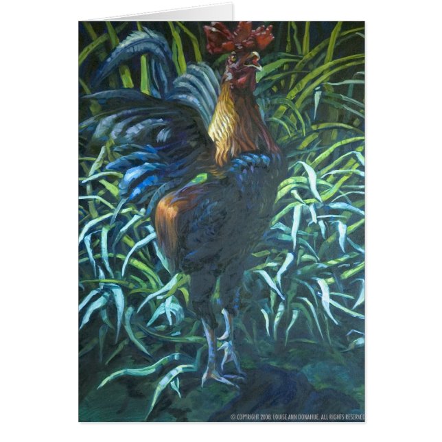 Juan of Veel (Voorkant)