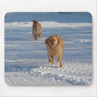 Jubilant Run Muismat