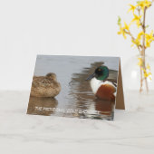 Jubilea kaart met Shoveler eenden (Gele Bloem)