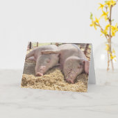 Jubilea paar varkens in de pen kaart (Gele Bloem)