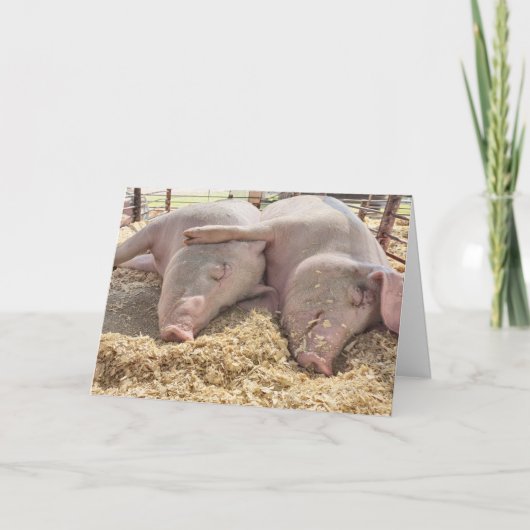 Jubilea paar varkens in de pen kaart (Voorkant)