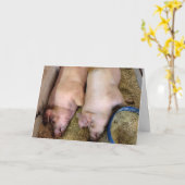 Jubilea paar varkens in de varkensstal kaart (Gele Bloem)