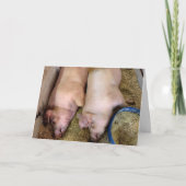 Jubilea paar varkens in de varkensstal kaart (Voorkant)