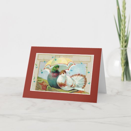 Jubileum beste wensen, twee vogeltjes met paraplu kaart (Voorkant)
