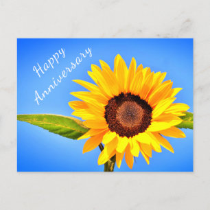Jubileum Briefkaart Geel Zonnebloem op Blue Sky