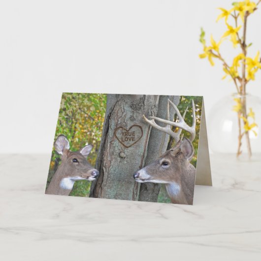 Jubileum Buck and Doe Love Kaart (Gele Bloem)