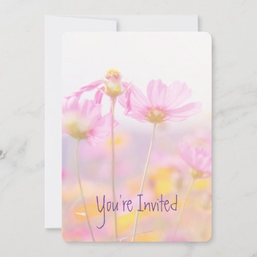 Jubileum Cosmos Garden Flower Kaart (Voorkant)