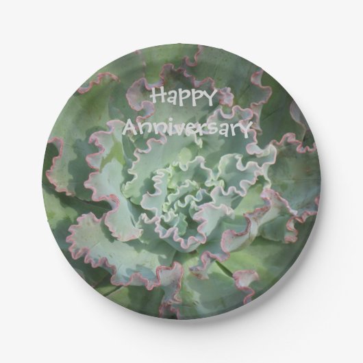 Jubileum Echeveria Papier Bord (Voorkant)