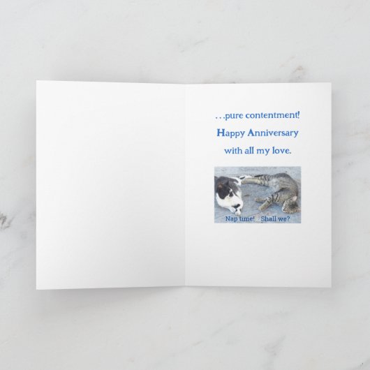JUBILEUM INHOUD/TWEE SLEEPY CATS/HUMOR KAART (Binnen)