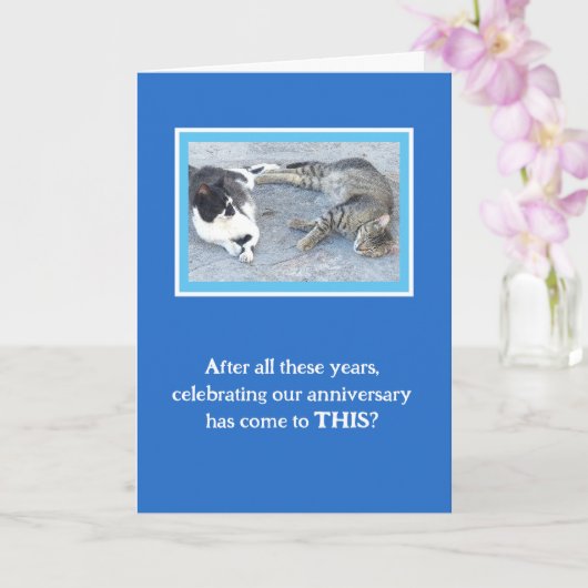 JUBILEUM INHOUD/TWEE SLEEPY CATS/HUMOR KAART (Orchidee)