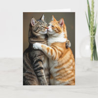 Jubileum Kattenkoppel Knuffelen