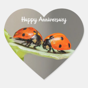 Jubileum Ladybugs Harde Stickers