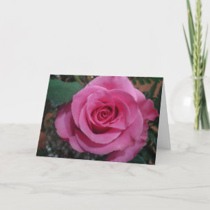 Jubileum van een Death Pink Rose serie1 Kaart