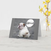 ***JUBILEUM WIST VAN BULLDOG** KAART (Gele Bloem)