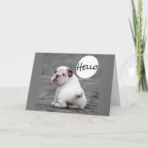 ***JUBILEUM WIST VAN BULLDOG** KAART