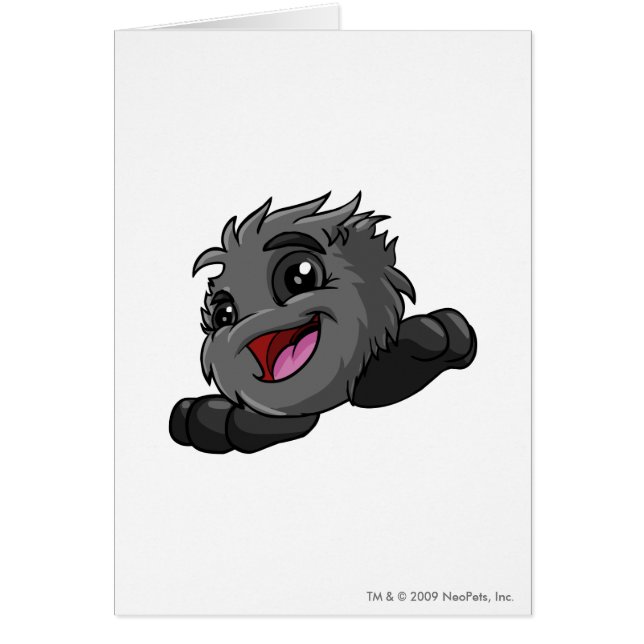 JubJub Shadow (Voorkant)