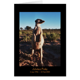 Jubulani Frisky - Legends Card