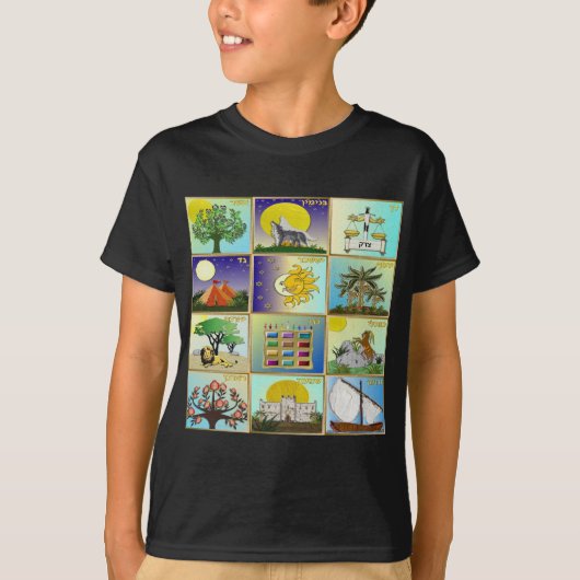 Judaica 12 Israëlische kunstpanelen T-shirt (Voorkant)