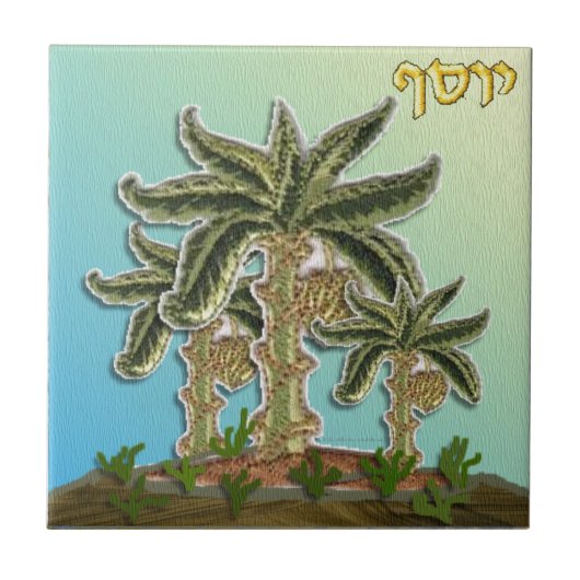 Judaica 12 Stammen Israël Jozef Tegeltje (Voorkant)