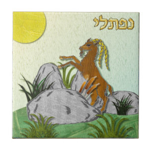 Judaica 12 Stammen Israël Naftali Tegeltje