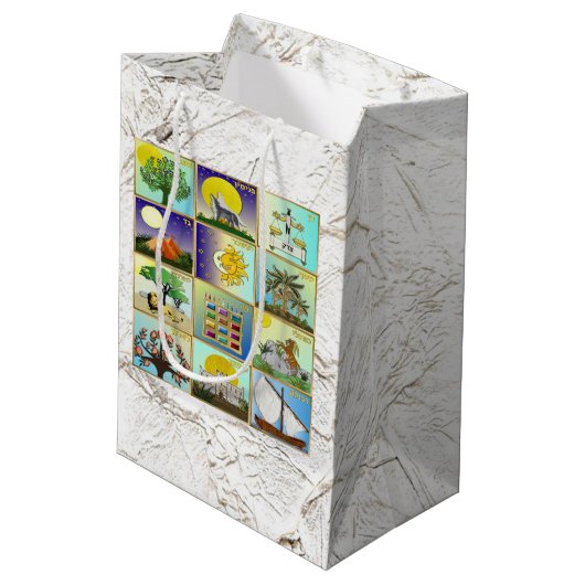 Judaica 12 stammen van Israel Art Panels Gift Bag Medium Cadeauzakje (Achterkant Gekanteld)