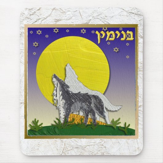 Judaica 12 stammen van Israel Benjamin Muismat (Voorkant)