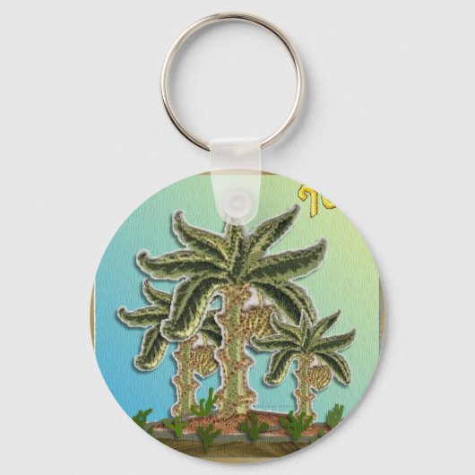 Judaica 12 stammen van Israël Joseph Sleutelhanger (Voorkant)