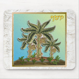 Judaica 12 Stammen van Israël Jozef Muismat