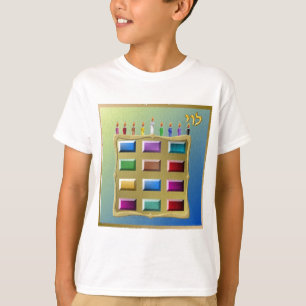 Judaica 12 stammen van Israel Levi T-shirt