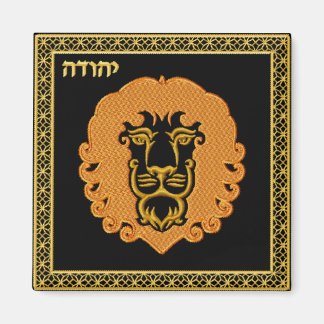 Judaica 12 stammen van Israël magneet - Iuda