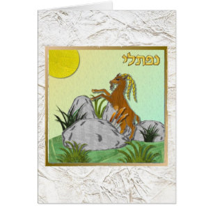 Judaica 12 stammen van Israel Naphtali