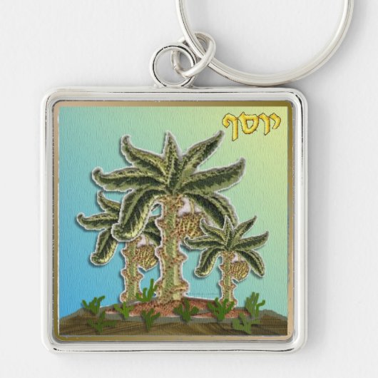 Judaica 12 Tribes Israel Joseph Sleutelhanger (Voorkant)