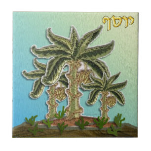 Judaica 12 Tribes Israel Joseph Tegeltje