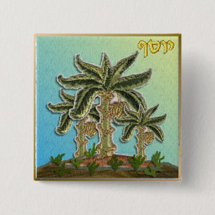 Judaica 12 Tribes Israel Joseph Vierkante Button 5,1 Cm