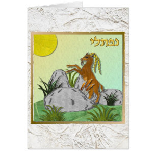 Judaica 12 Tribes Israel Naphtali