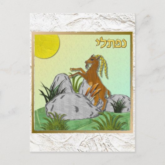 Judaica 12 Tribes Israel Naphtali Briefkaart (Voorkant)