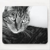 Jude Muismat (Voorkant)