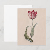 Judith Leyster Tulip Kaart (Voorkant / Achterkant)