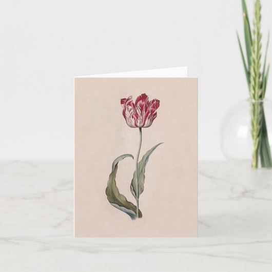 Judith Leyster Tulip Note Card Kaart (Voorkant)